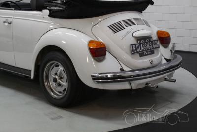 1979 Volkswagen Beetle