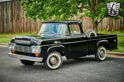 1959 Ford F100