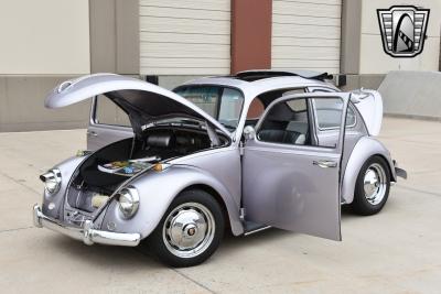 1967 Volkswagen Beetle