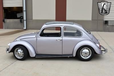 1967 Volkswagen Beetle