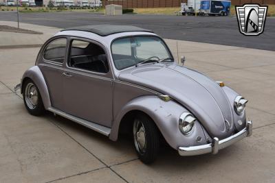 1967 Volkswagen Beetle