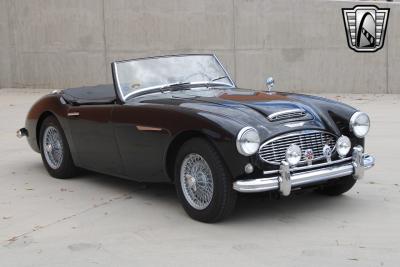 1959 Austin - Healey 100