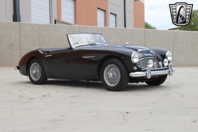 1959 Austin - Healey 100