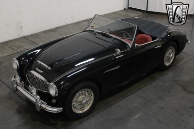 1959 Austin - Healey 100