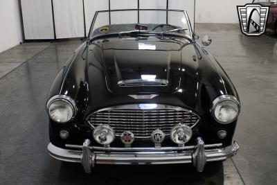 1959 Austin - Healey 100