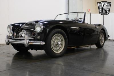 1959 Austin - Healey 100