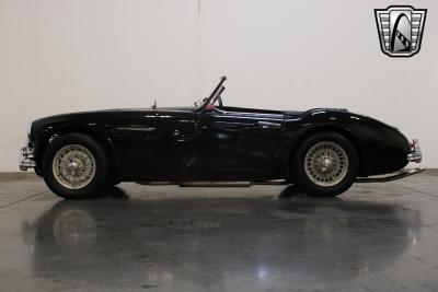 1959 Austin - Healey 100