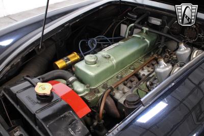 1959 Austin - Healey 100