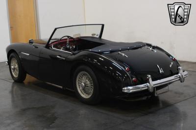 1959 Austin - Healey 100