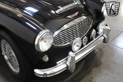 1959 Austin - Healey 100