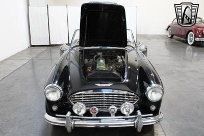 1959 Austin - Healey 100