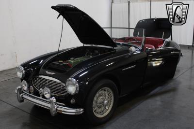 1959 Austin - Healey 100