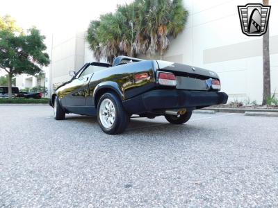 1981 Triumph TR7