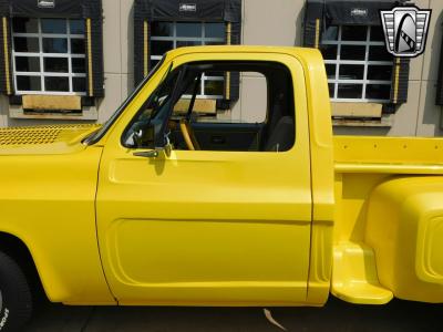 1976 Chevrolet C10