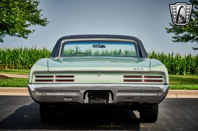 1967 Pontiac GTO