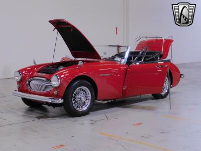 1963 Austin - Healey 3000