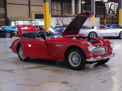 1963 Austin - Healey 3000