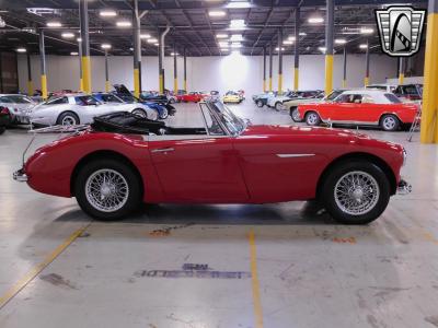 1963 Austin - Healey 3000