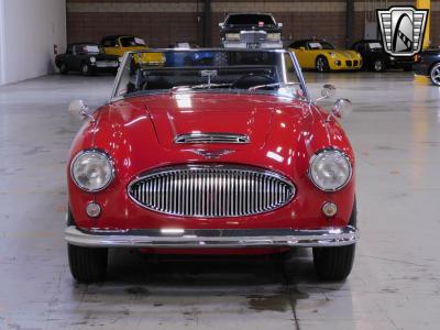 1963 Austin - Healey 3000