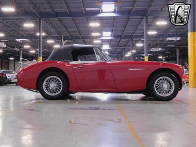 1963 Austin - Healey 3000