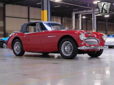 1963 Austin - Healey 3000