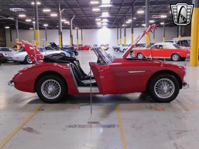 1963 Austin - Healey 3000