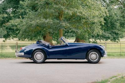 1955 Jaguar XK140