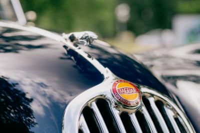 1955 Jaguar XK140