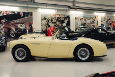 1956 Austin - Healey 100/4 BN2  M-Specification