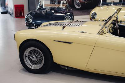 1956 Austin - Healey 100/4 BN2  M-Specification