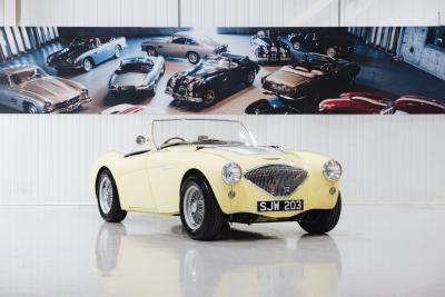 1956 Austin - Healey 100/4 BN2  M-Specification