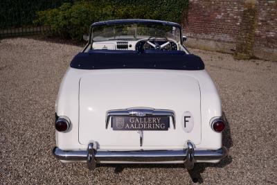 1952 Delahaye 235 Convertible by Antem