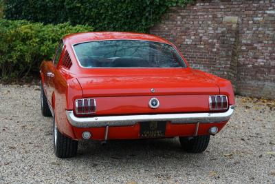 1965 Ford Mustang 289 Fastback