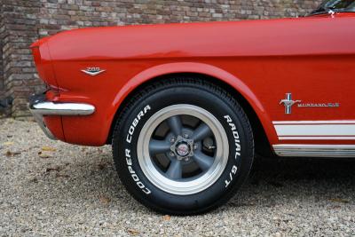 1965 Ford Mustang 289 Fastback