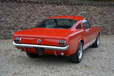 1965 Ford Mustang 289 Fastback