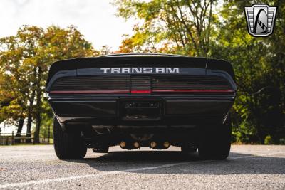 1979 Pontiac Firebird