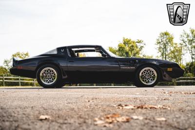 1979 Pontiac Firebird