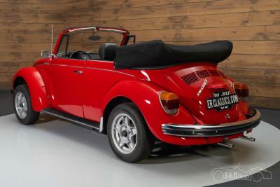 1976 Volkswagen Beetle