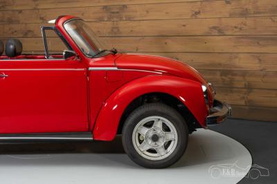 1976 Volkswagen Beetle