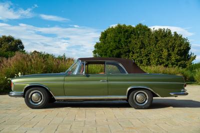 1964 Mercedes - Benz 220 SE CABRIOLET