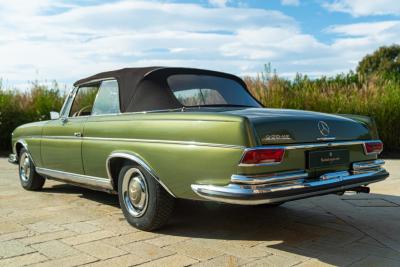 1964 Mercedes - Benz 220 SE CABRIOLET