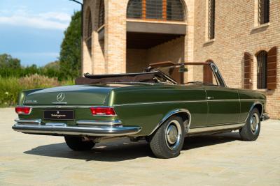 1964 Mercedes - Benz 220 SE CABRIOLET