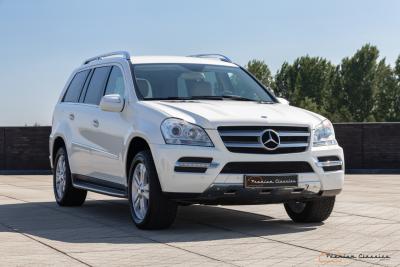 2009 Mercedes - Benz GL450 4Matic X164