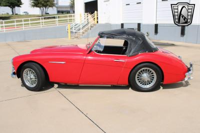 1962 Austin - Healey 3000