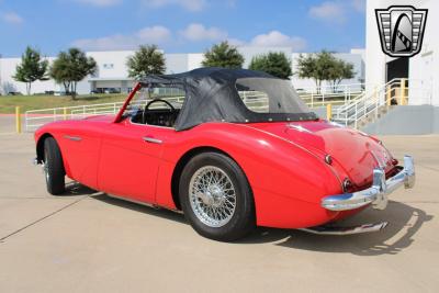 1962 Austin - Healey 3000