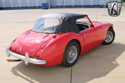 1962 Austin - Healey 3000