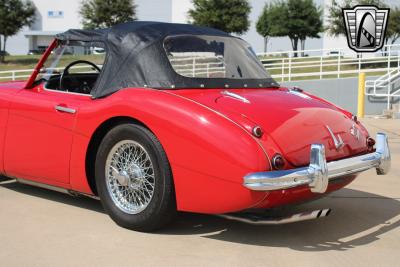 1962 Austin - Healey 3000