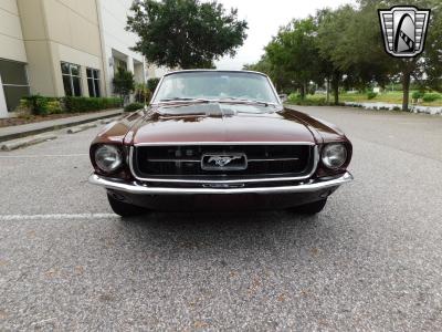 1967 Ford Mustang