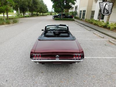 1967 Ford Mustang