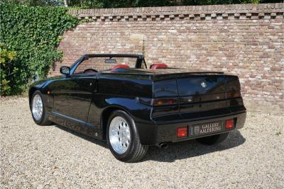 1993 Alfa Romeo RZ Zagato Roadster #023